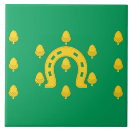 Flagge von Rutland (Landkreis des Vereinigten Köni Fliese