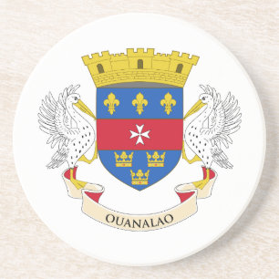 Flagge von Saint-Barthélemy Getränkeuntersetzer