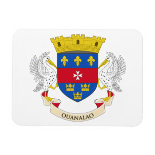 Flagge von Saint-Barthélemy Magnet