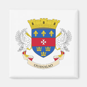 Flagge von Saint-Barthélemy Magnet