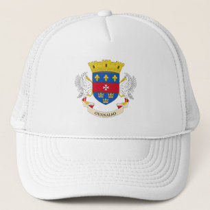 Flagge von Saint-Barthélemy Truckerkappe