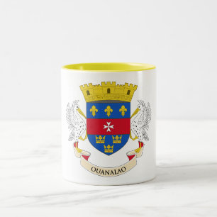 Flagge von Saint-Barthélemy Zweifarbige Tasse