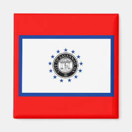 Flagge von Savannah (Georgien) Magnet