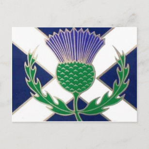 Flagge von Schottland und Thistle Postkarte