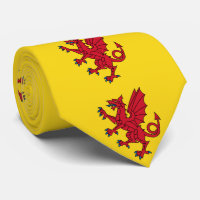 Flagge von Somerset