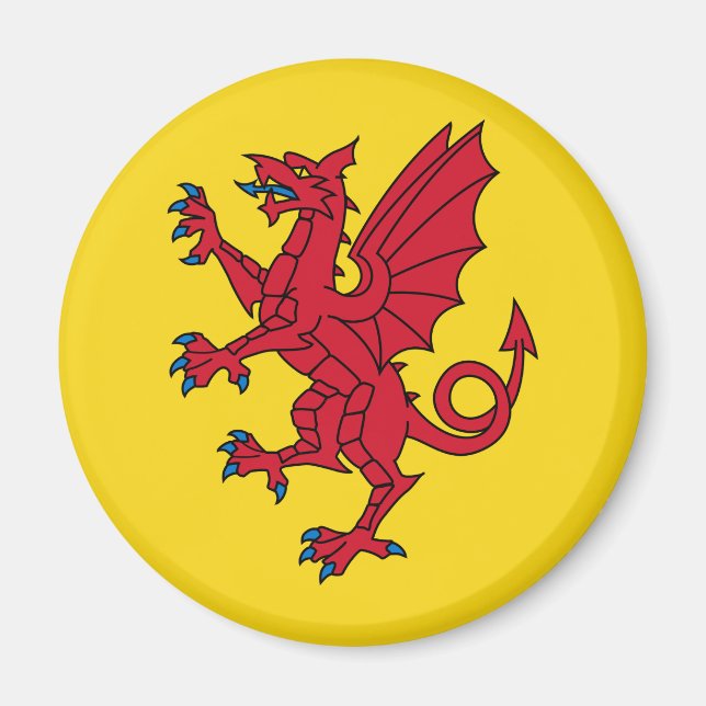 Flagge von Somerset Magnet (Vorne)