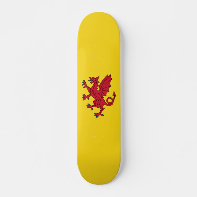 Flagge von Somerset Skateboard (Vorne)