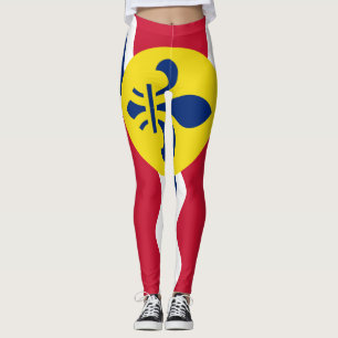 Flagge von St. Louis, Missouri Leggings