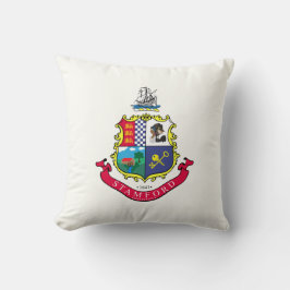 Flagge von Stamford (Connecticut) Kissen