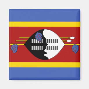 Flagge von Swasiland Magnet