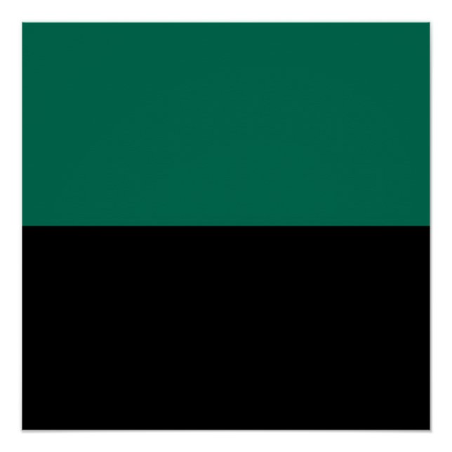 Flagge von Texel Poster (Vorderseite)