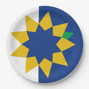 Flagge von Topeka, Kansas Pappteller