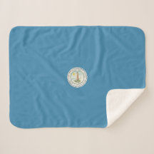 Flagge von Virginia Beach (Virginia, USA)
