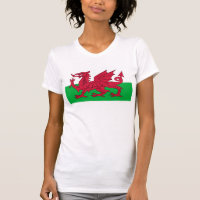 Flagge von Wales - der rote Drache - Baner Cymru