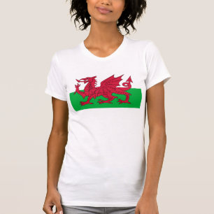 Flagge von Wales - der rote Drache - Baner Cymru T-Shirt