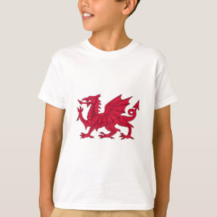 Flagge von Wales - der rote Drache - Baner Cymru T-Shirt