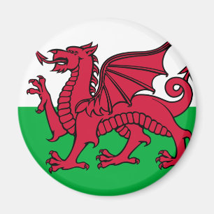 Flagge von Wales Magnet