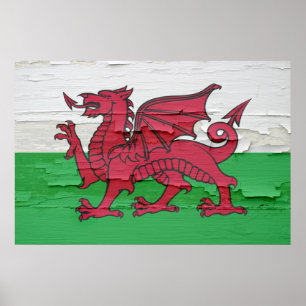 Flagge von Wales verwitterte Farbe Poster