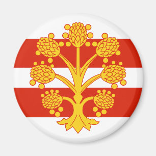 Flagge von Westmorland Magnet