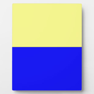 Flagge von Zandvoort Fotoplatte