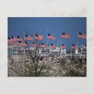 Flaggen auf Hauptstädte Postkarte