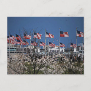 Flaggen auf Hauptstädte Postkarte