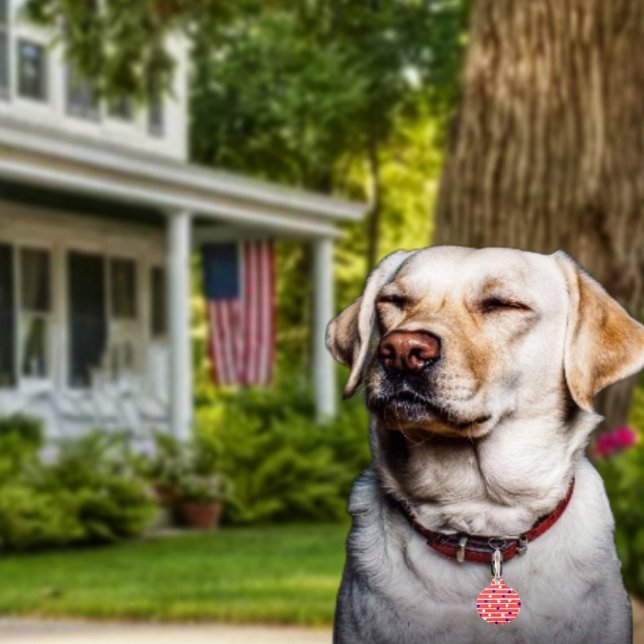 Flaggen Haustiermarke (Get Fido in on the patriotic fun, with his or her own Flag Stripes Pet ID Tag!)