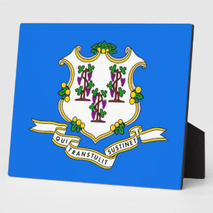 Flaggenebene des Connecticut-Zustands Fotoplatte