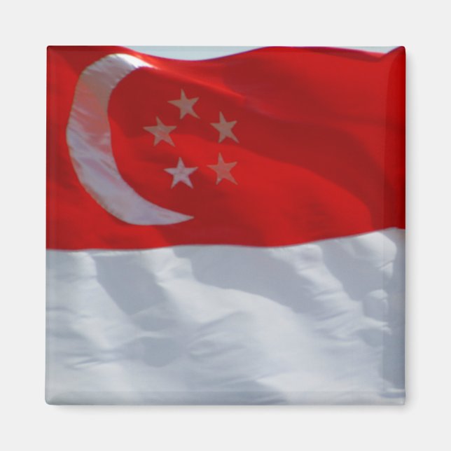 Flaggensingapur Magnet (Vorne)