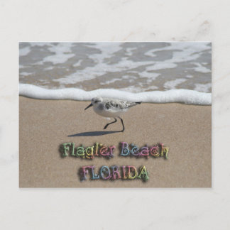 Flagler Beach Postcard Postkarte