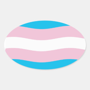 Flags-Aufkleber für Transgender Ovaler Aufkleber