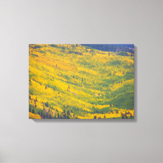 Flagstaff Arizona Aspens Leinwanddruck