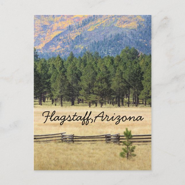 Flagstaff, Arizona bunt Feld Postkarte (Vorderseite)