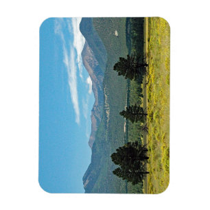 Flagstaff, Arizona Magnet