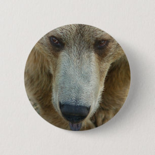 Flair Button