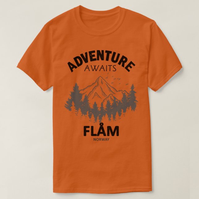 Flam Norwegen 1 T-Shirt (Design vorne)