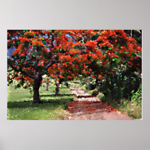 Flamboyan Bäume Poster