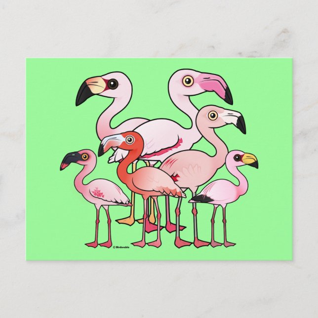 Flamboyance Postkarte (Vorderseite)