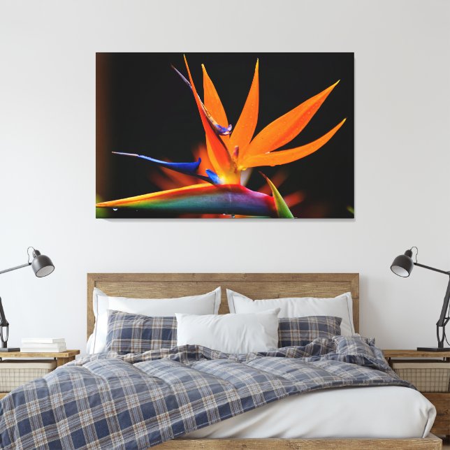 Flamboyant Bird der Paradise-Blume Leinwanddruck (Insitu (Schlafzimmer))