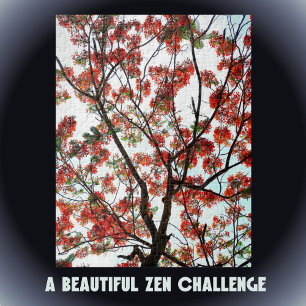 Flamboyant Flame Tree Royal Poinciana Fotografic Puzzle