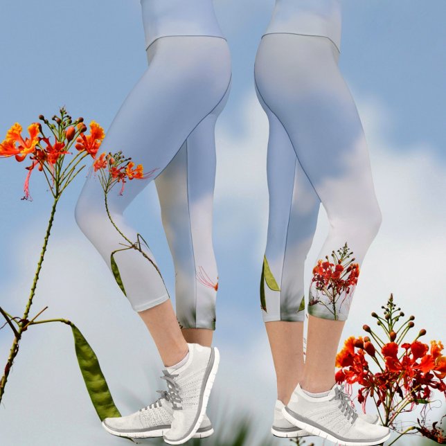 Flamboyant Royal Poinciana Blume auf Blue Capri Leggings (Von Creator hochgeladen)