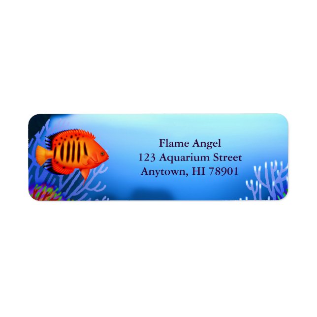 Flame Angelfish Reef Fish Label (Vorne)
