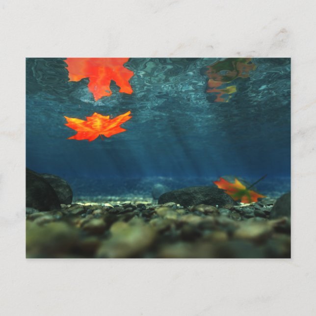 Flame im Wasser Postkarte (Vorderseite)
