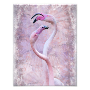 Flamenco-Druck Fotodruck