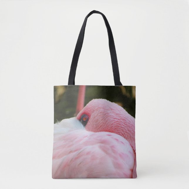 Flamingo (Vorderseite)