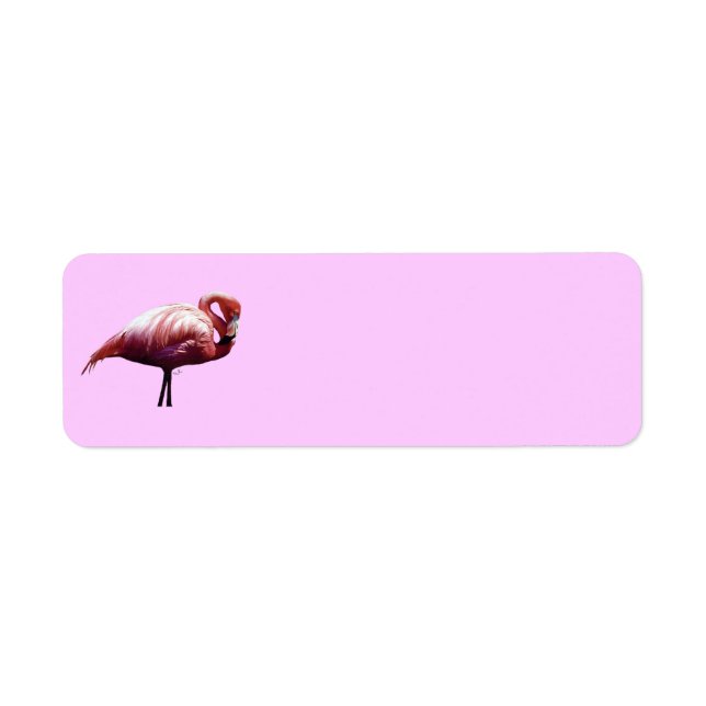 Flamingo (Vorne)