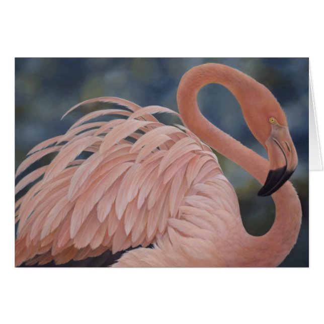 Flamingo (Vorderseite (Horizontal))