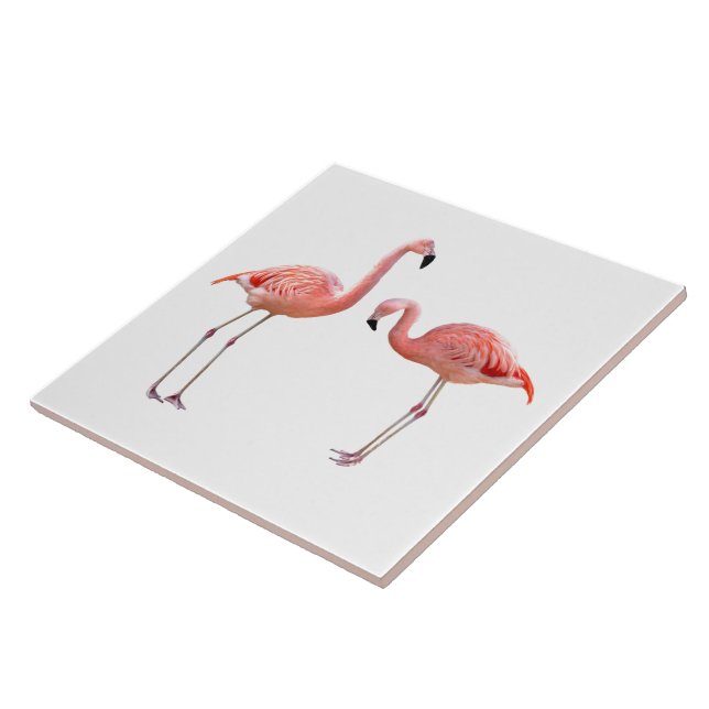 “flamingo”の優良製品 fliese (Seite)