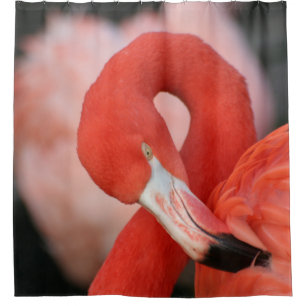 Flamingo 001 duschvorhang