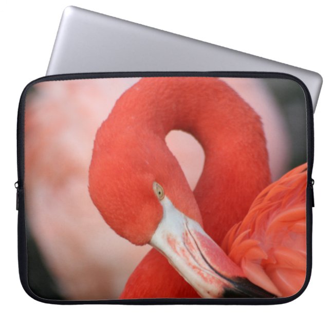 Flamingo 001 laptopschutzhülle (Vorderseite)